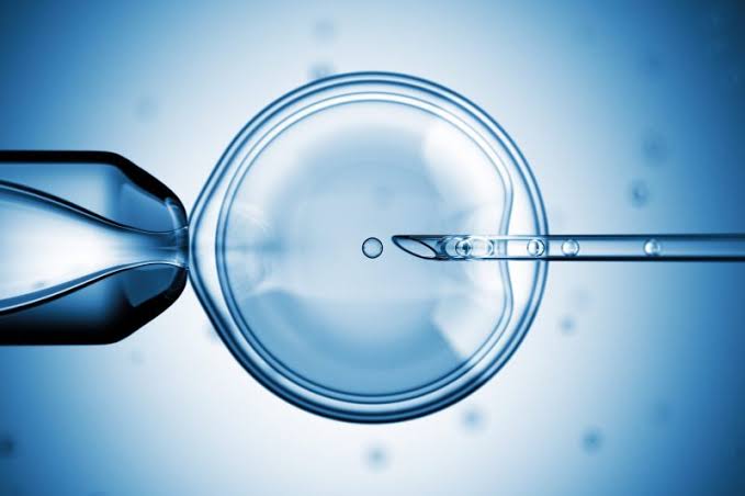 Genetic Testing of Embryos Genetic Testing of Embryos